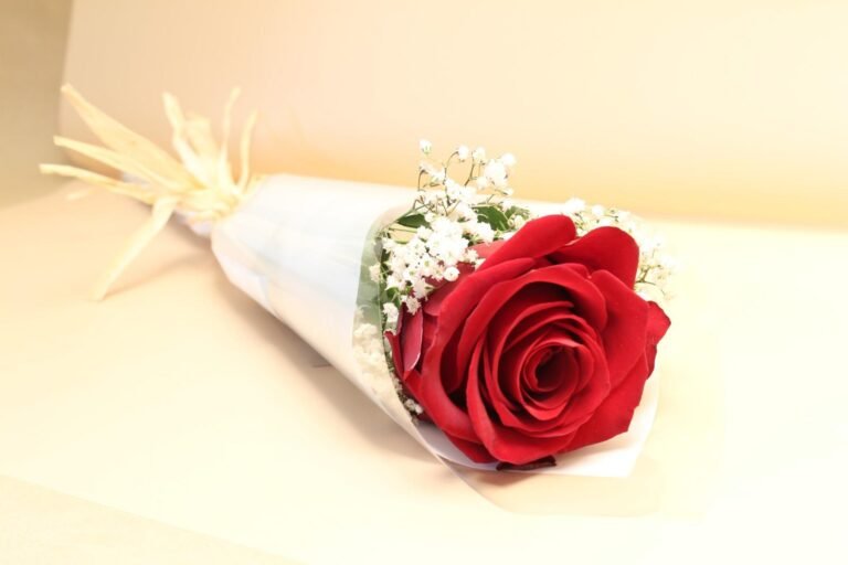 Single Wrapped Rose – Elegant One Rose Gift in Qatar