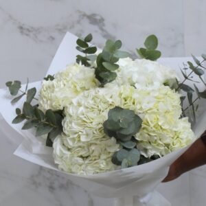 Premium White Hydrangeas Bouquet – Fresh Luxury Flowers